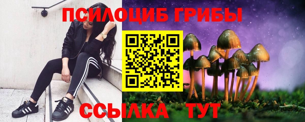 Псилоцибиновые грибы Psilocybine cubensis Солнечногорск