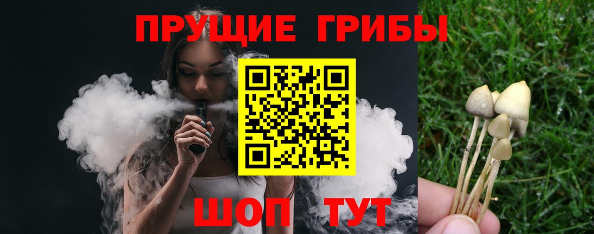 Псилоцибиновые грибы мухоморы  Вход с VPN  Солнечногорск 